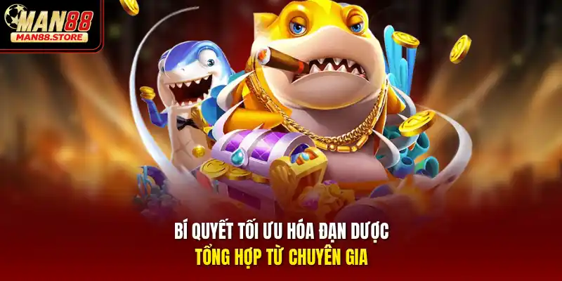 Bí quyết tối ưu hóa đạn dược tổng hợp từ chuyên gia