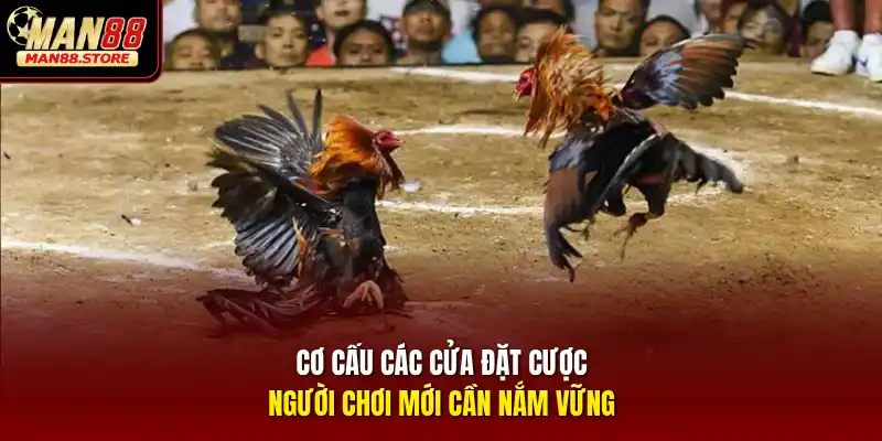 Cơ cấu các cửa đặt cược người chơi mới cần nắm vững
