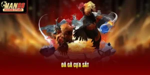 Đá Gà Cựa Sắt - Đấu Trường Kịch Tính Săn Thưởng Hấp Dẫn