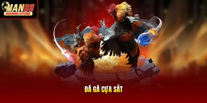 Đá Gà Cựa Sắt - Đấu Trường Kịch Tính Săn Thưởng Hấp Dẫn