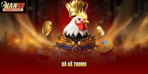 Đá Gà Thomo - Đỉnh Cao Trường Đấu Trực Tuyến Uy Tín Nhất