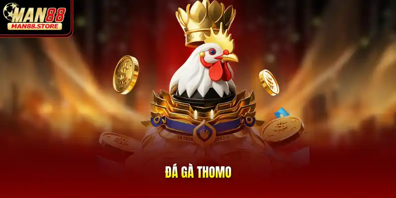 Đá Gà Thomo - Đỉnh Cao Trường Đấu Trực Tuyến Uy Tín Nhất