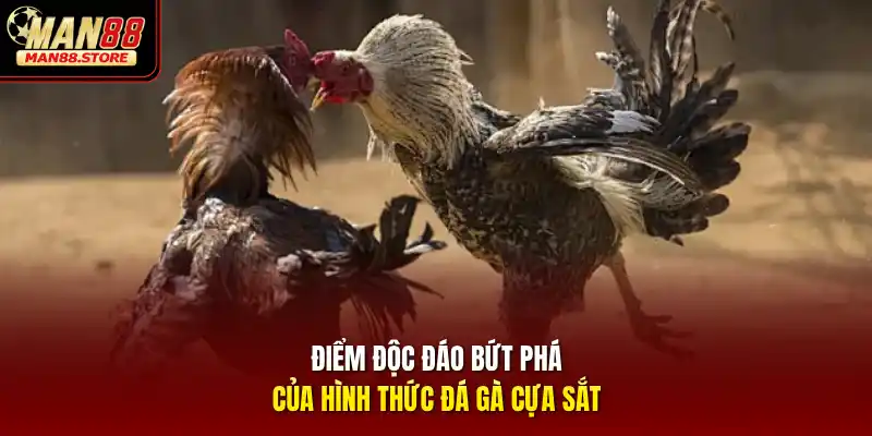 Điểm độc đáo bứt phá của hình thức đá gà cựa sắt