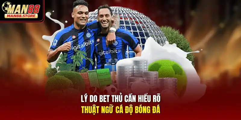 Lý do bet thủ cần hiểu rõ thuật ngữ cá độ bóng đá