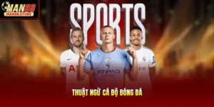 Thuật Ngữ Cá Độ Bóng Đá – Cẩm Nang Giải Mã Cho Người Mới